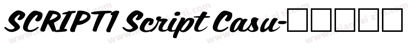 SCRIPT1 Script Casu字体转换